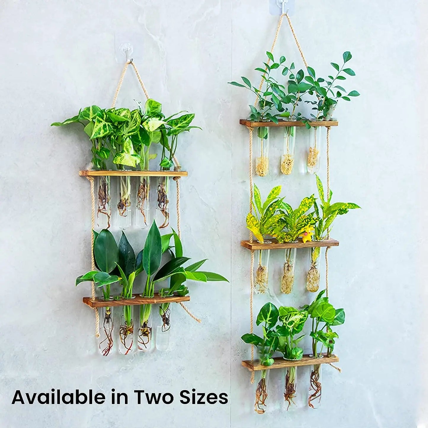 Wall Hanging Test Tube, Glass Planter Plant Vase with Wooden Stand &