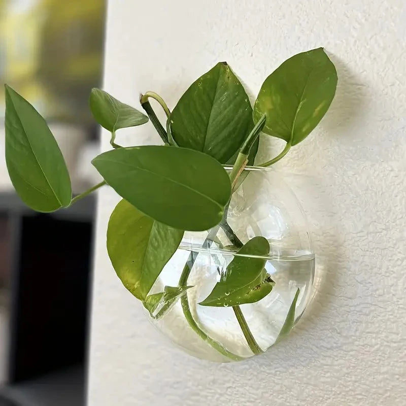 Wall Hanging Glass Plant Terrarium Container Propagation Station