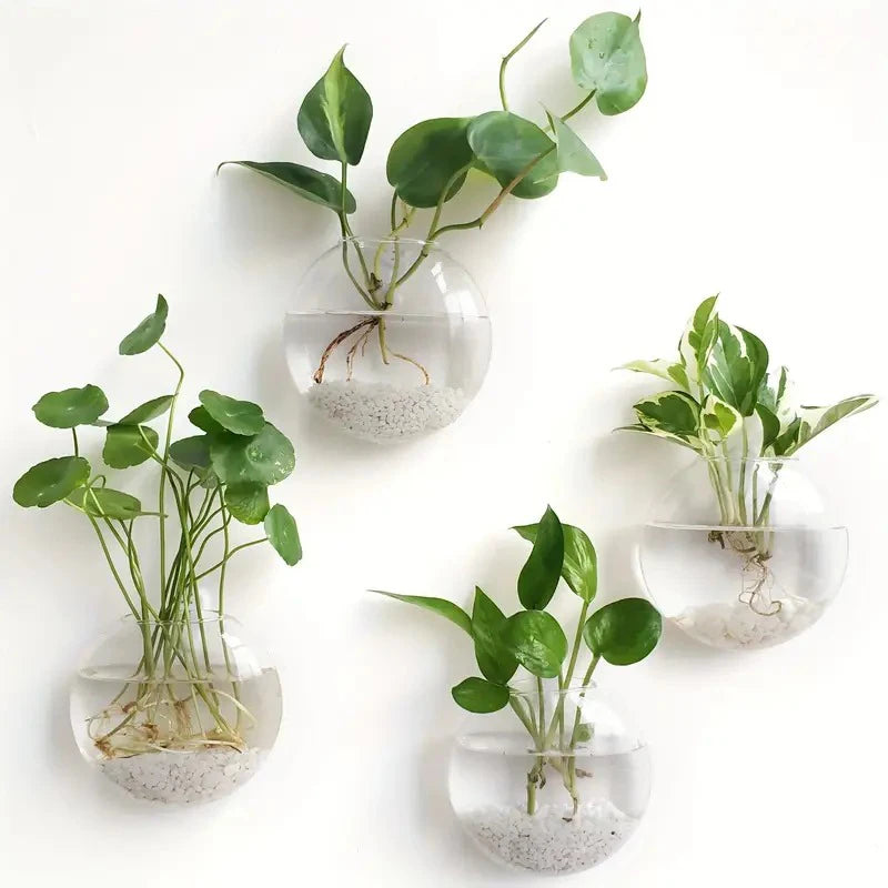 Wall Hanging Glass Plant Terrarium Container Propagation Station