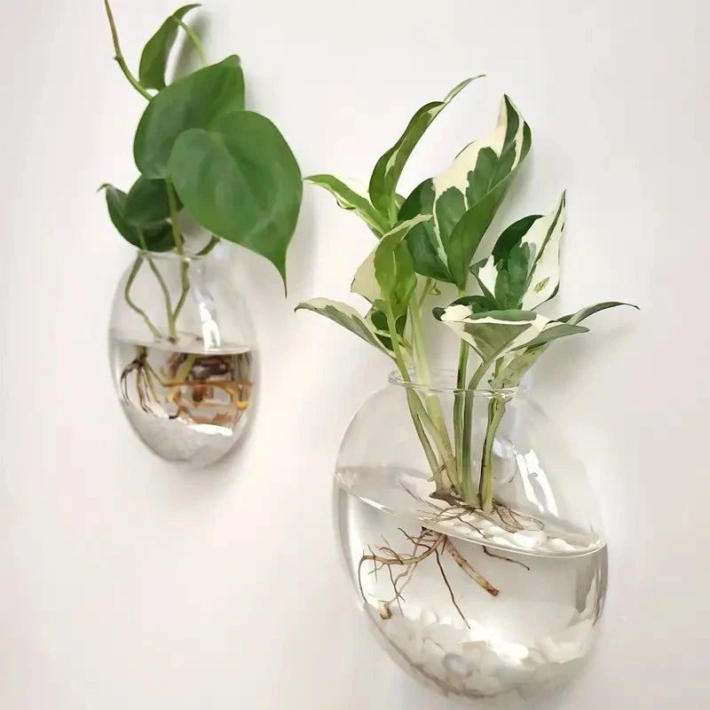 Wall Hanging Glass Plant Terrarium Container Propagation Station