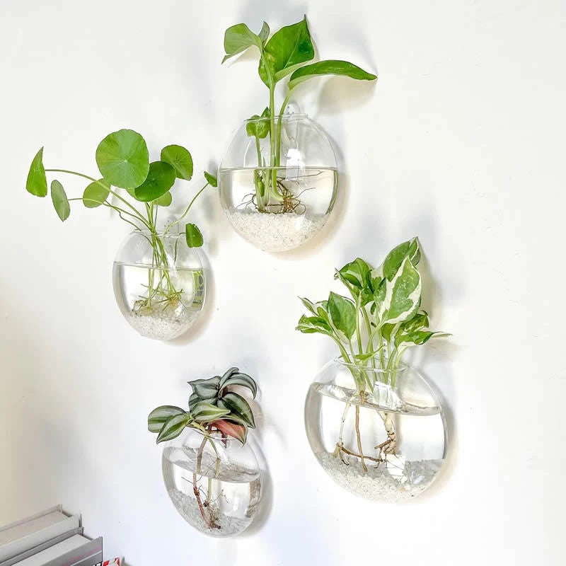 Wall Hanging Glass Plant Terrarium Container Propagation Station