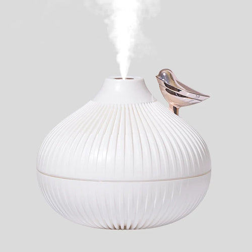 300ml USB Air Humidifier, Small Onion Style Humidifier With Night