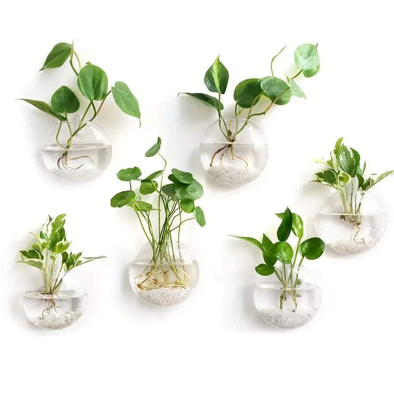 Wall Hanging Glass Plant Terrarium Container Propagation Station